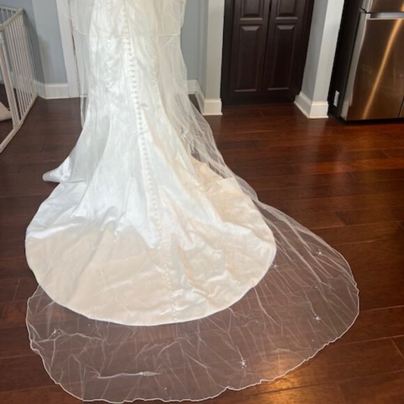 NWT Ivory Cathedral Veil w/ rhinestones main image 9